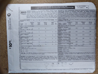 Back view of pattern M3665